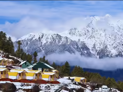 Auli Package